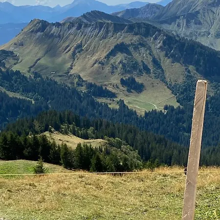 Mountain Apartment. *