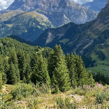 Mountain Apartment. * Val d'Illiez