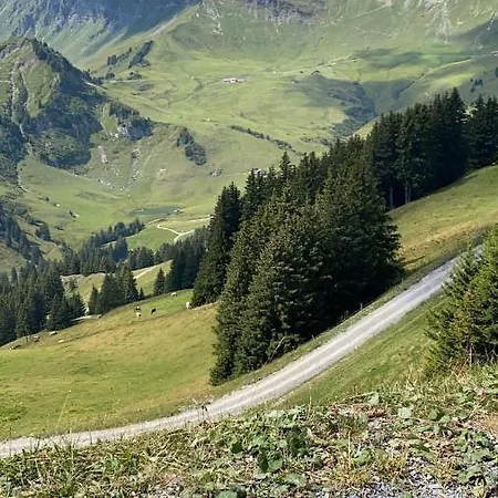 Mountain Apartment. Val d'Illiez