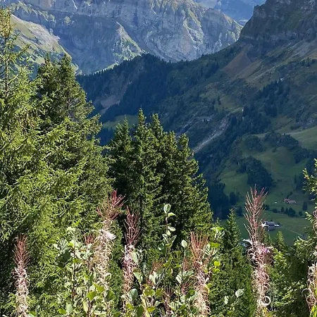 Mountain Apartment. Apartment