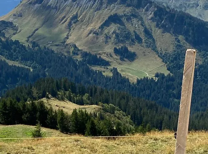 Mountain Apartment. *