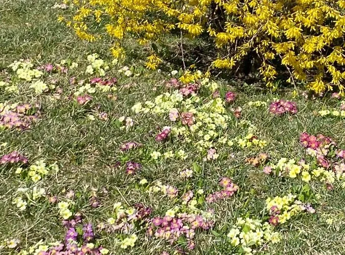 Апартаменты Mountain Apartment.