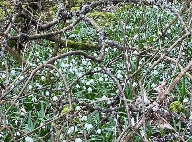 Mountain Apartment. Апартаменты