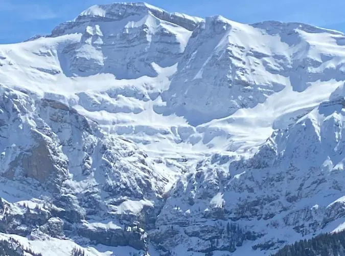 Mountain Apartment. *