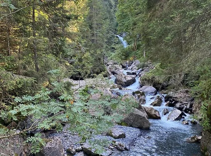 Апартаменты Mountain Apartment. *