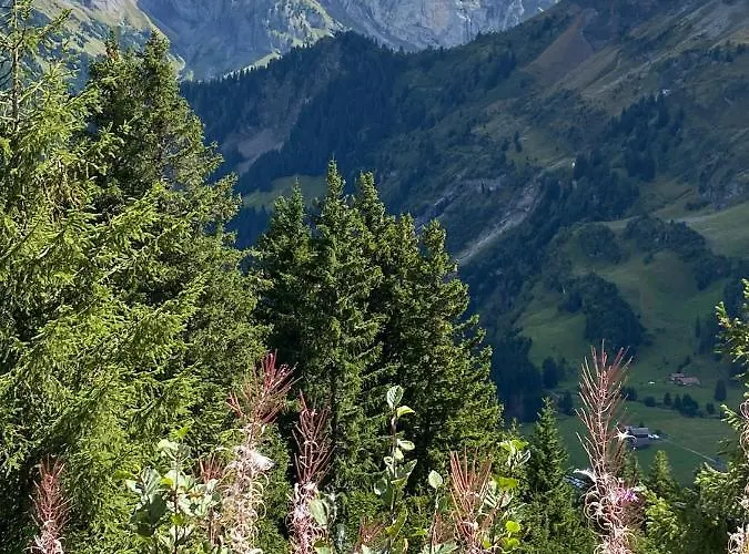 Mountain Apartment. Апартаменты