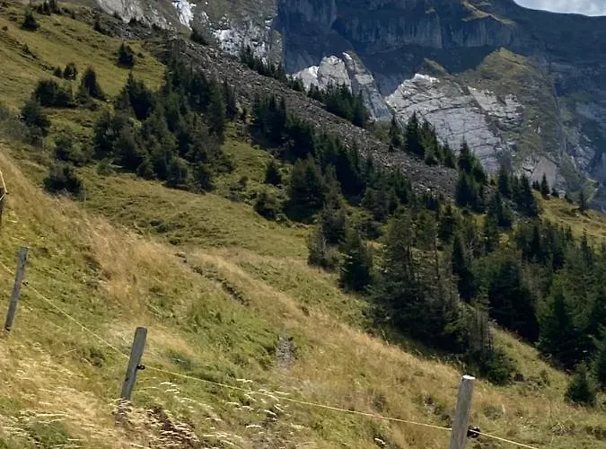 Mountain Apartment. *