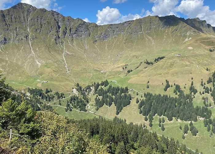 Mountain Apartment. Апартаменты *