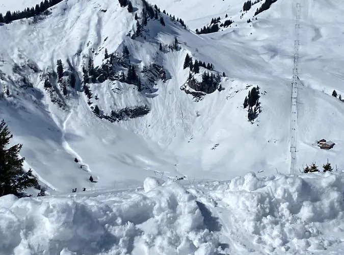 Апартаменты Mountain Apartment. Валь-Д'илье