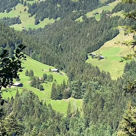 Mountain Apartment. Val dʼIlliez