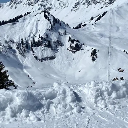 Daire Mountain Apartment. Val dʼIlliez