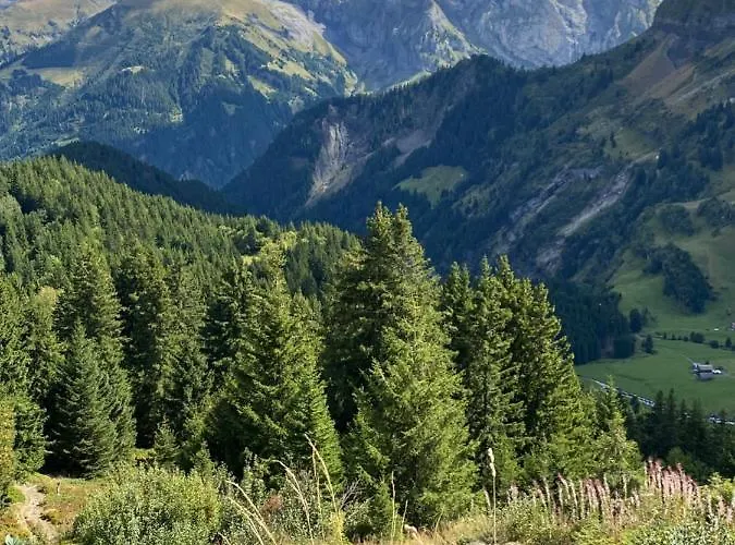 Mountain Apartment. * Val dʼIlliez