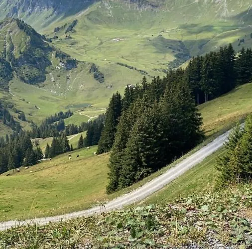 Mountain Apartment. Val dʼIlliez