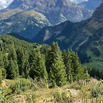 Mountain Apartment. * Val dʼIlliez