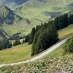 Mountain Apartment. Val dʼIlliez