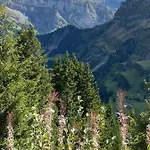Mountain Apartment. Apartment