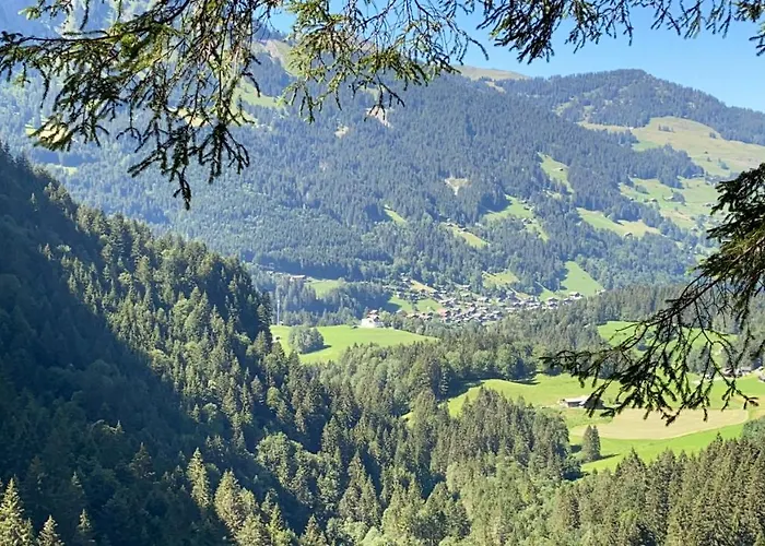 Mountain Apartment. * Val dʼIlliez